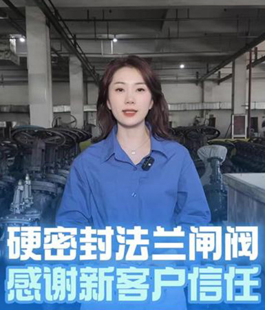 硬密封法兰闸阀 # 球阀 # 蝶阀 # 截止阀  