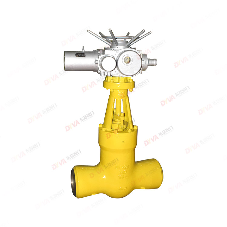 Power station gate valve