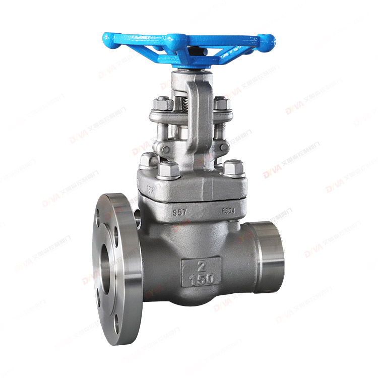 Forged steel non-standard gate valve