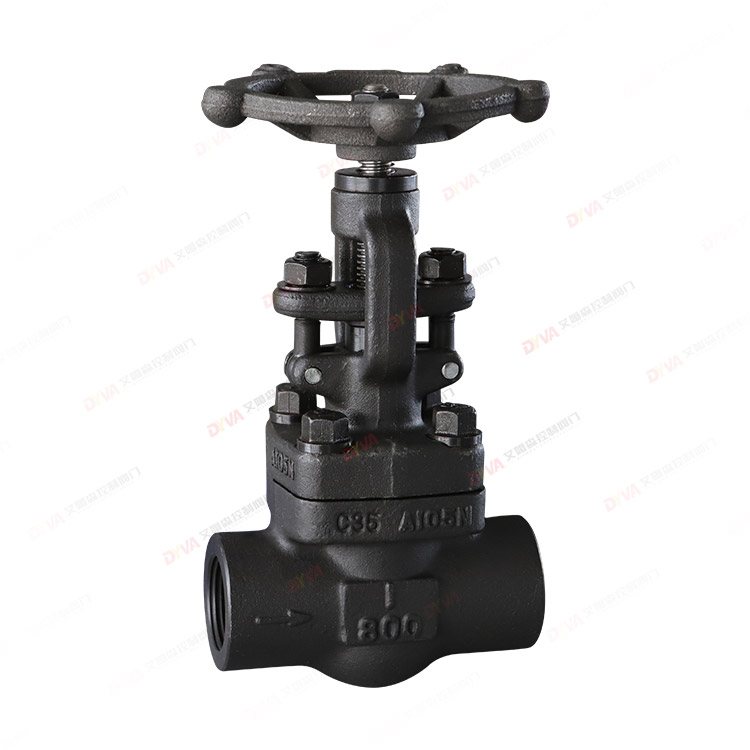 Forged steel threaded globe valve