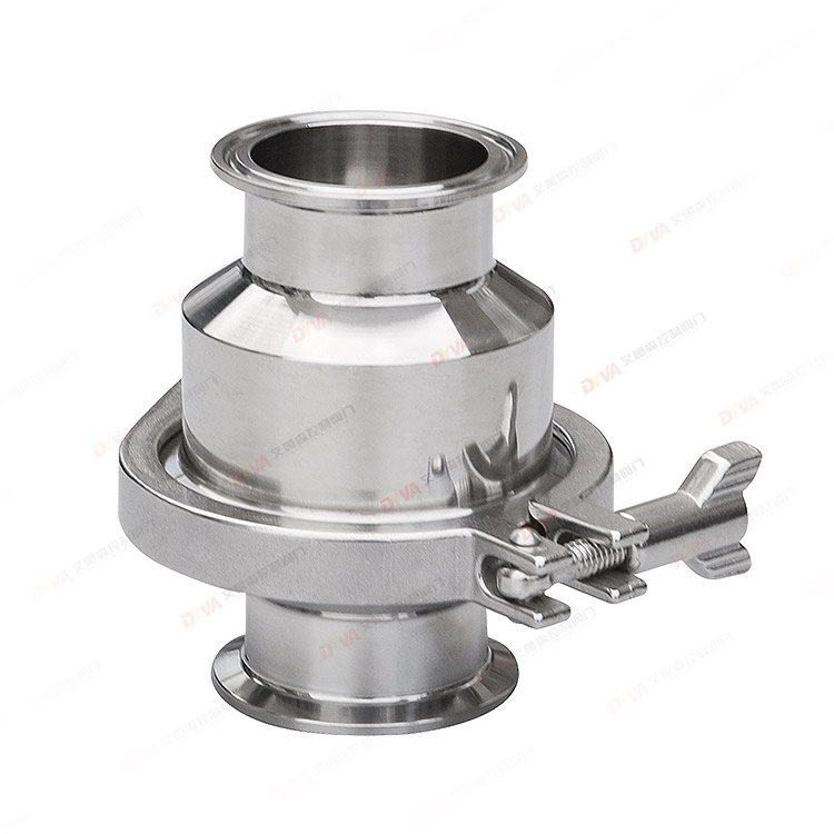 Quick-install check valve