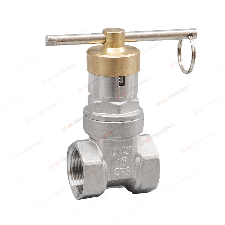 Magnetic lock gate valve