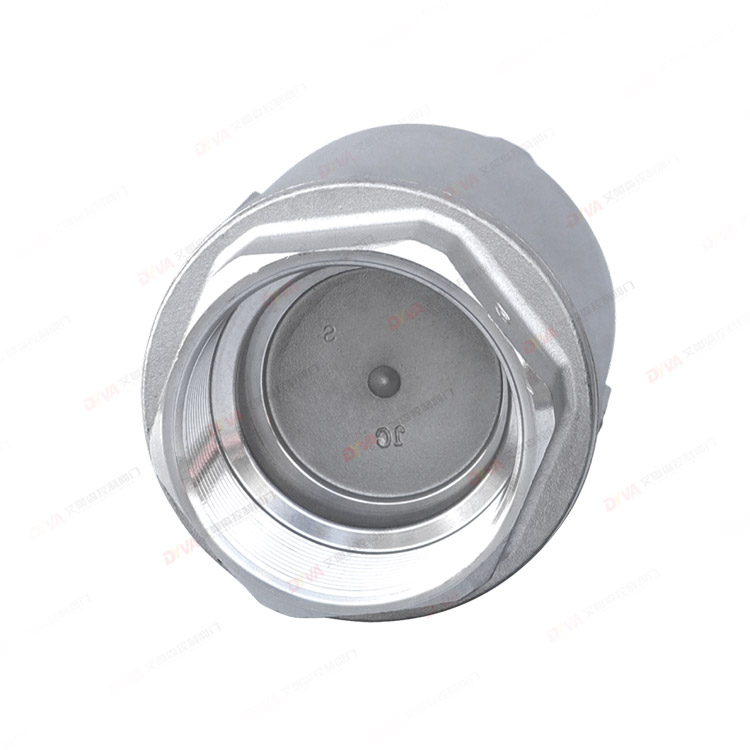 Threaded check valve (hard seal)