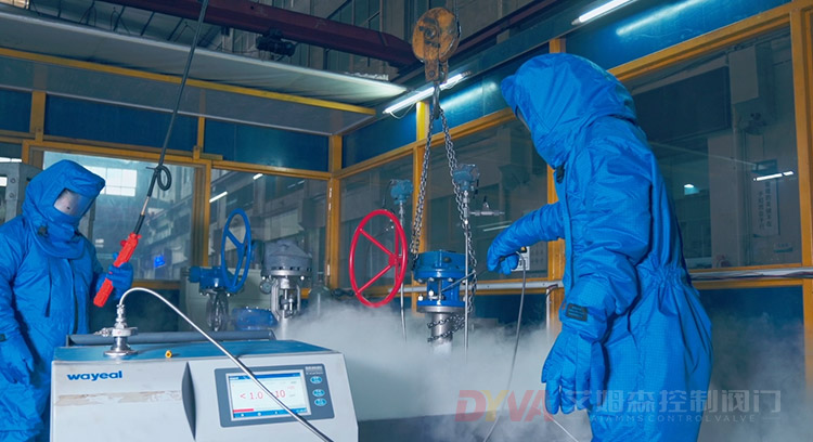 Low temperature test