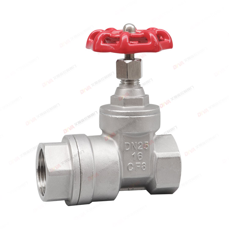 Gate valve with check valve