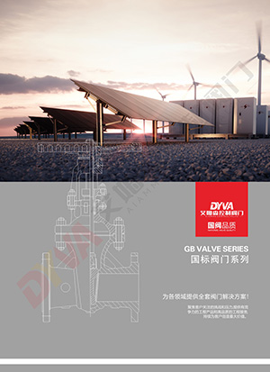 National standard valve series